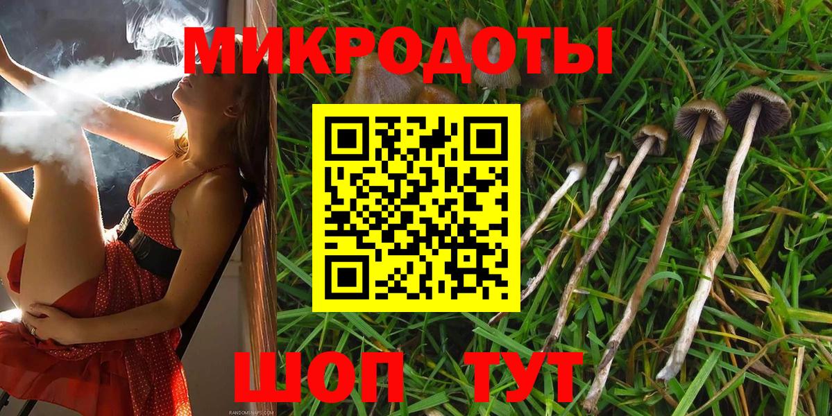 Галлюциногенные грибы Cubensis  Вход с VPN  Вятские Поляны  Псилоцибиновые грибы ЛСД 