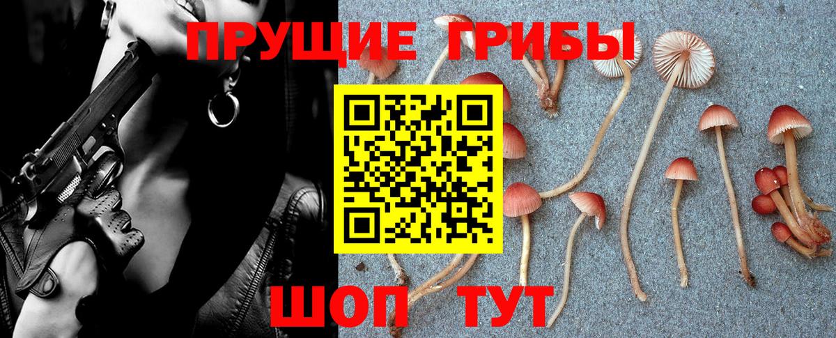 Галлюциногенные грибы Psilocybine cubensis Вятские Поляны